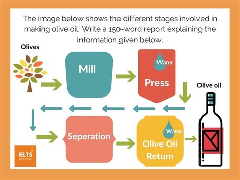 The Image Below Shows The Different Stages Involved In Making Olive Oil