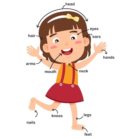 Ilustración De La Parte Del Vocabulario De La Niña Del Niño Del Vector