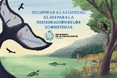 ¿Qué celebramos el Día Mundial de la Vida Silvestre? > WCS Ecuador