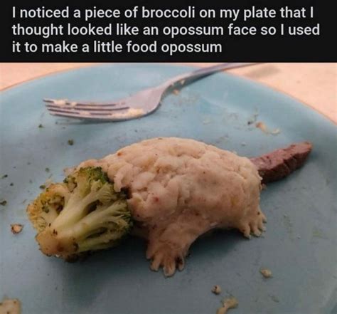 Blursed Food Possum Blursedimages