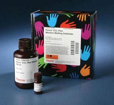 Thermo Scientific Pierce ECL Plus Western Blotting Substrate Products