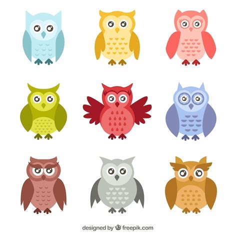 Free Vector Collection Of Colorful Owls In Flat Design