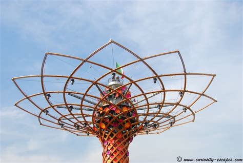 Expo Milano 2015 Top 10 Pavilions Curiosity Escapes