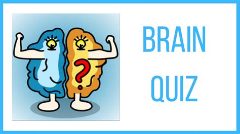 Brain Quiz Tricky Questions Level 11 Youtube