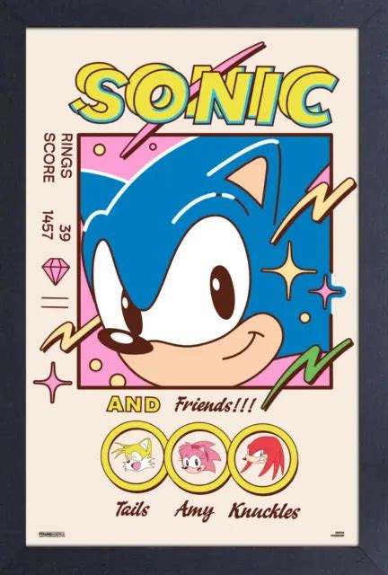 Sonic The Hedgehog Sonic And Friends 13x19 Framed Gelcoat Poster Video