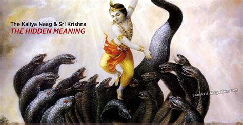 The Kaliya Naag And Sri Krishna The Hidden Meaning Sanskriti