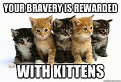 your bravery is rewarded with kittens - Kittens - quickmeme