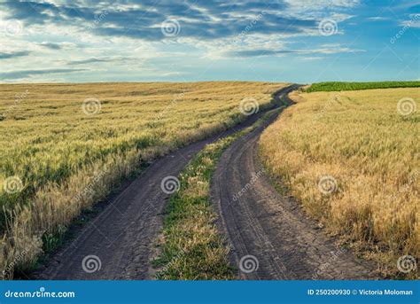Dirt Road Between The Fields On A Country Valley Countryside Road