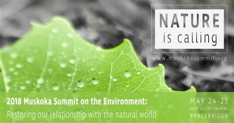 How Can We Restore Our Relationship With Nature Muskoka Summit On