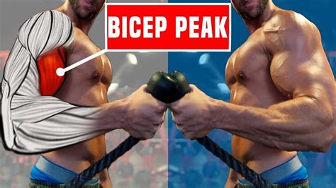 5 Best Bicep Peak Exercises Dont Skip These Youtube