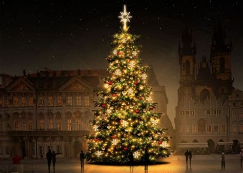 Takto Bude Vypadat Letošní Vánoční Strom Na Staroměstském Náměstí