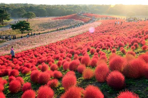The Most Beautiful Places In Japan You May Not Know