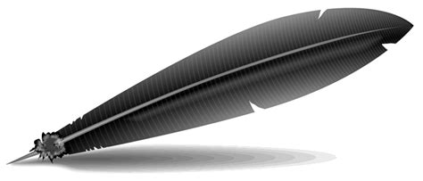 Black Feather Png Png Image Collection