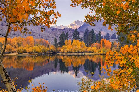 Fall Frame Fall Colors In Bishop Creek Eastern Sierra Ca Jay