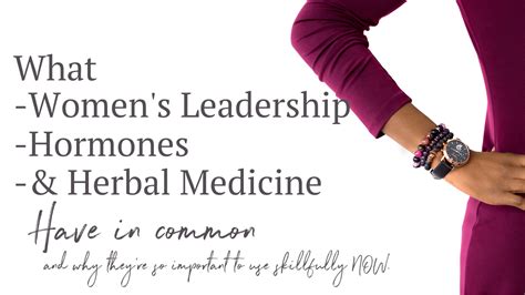 Womens Leadership Menopause And Herbal Medicine Dana Lavoie Lac