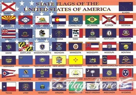 Full Sets State Flags All 50 States And Usterritories Z Flag Store