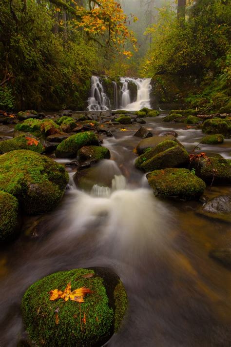 Best Fall Hikes Near Portland Outdoor Project