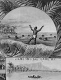 Image result for J. Whitney in Hawaii 1893