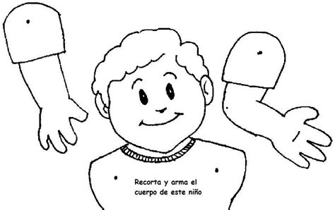 Dibujos De Las Partes Del Cuerpo Humano Para Niños Para Colorear Hay