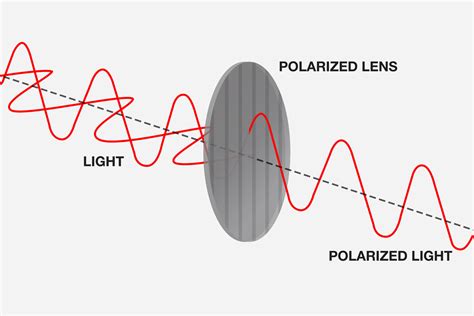 How Do Polarized Sunglasses Work Revant Optics