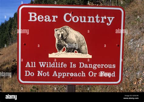 Warning Sign Grizzly Bear Alert Banff National Park Hoodoo Wallpaper