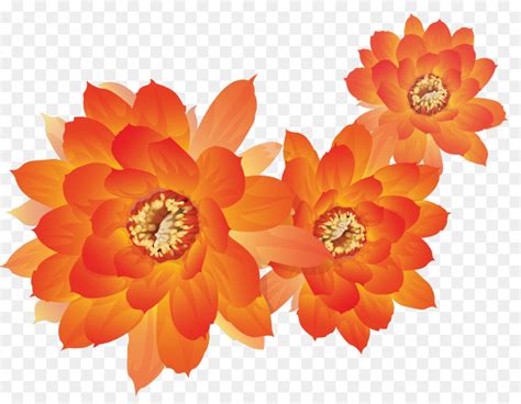 Floral Flower Background Clipart Flower Orange Dahlia Transparent