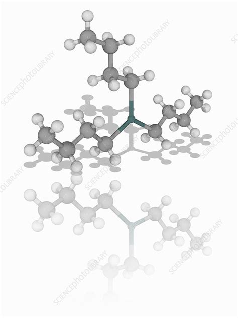 Tributyltin Hydride Organic Compound Molecule Stock Image F0170088
