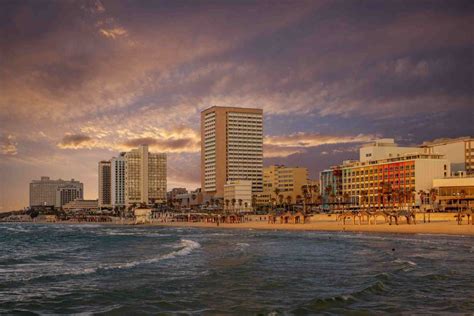 Tlv Go Serviced Apartments Tel Avivs Top Best Beaches