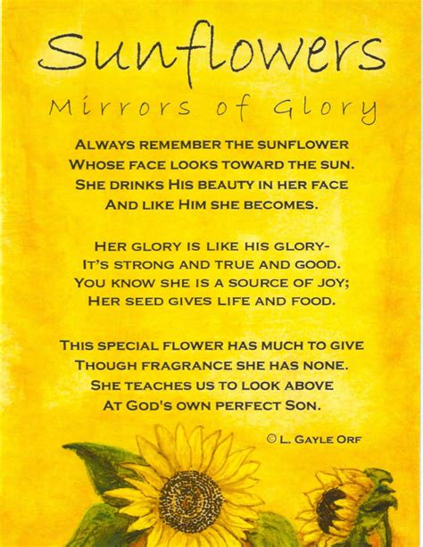 Sunflowers Mirrors Of Glory Sunflower Quotes Sunflower Poem Sunflower