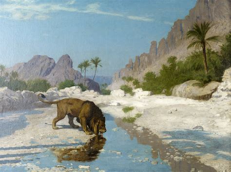 Lion In The Desert Albright Knox
