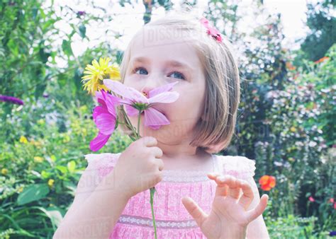 Little Girl Smelling Flower Stock Photo Dissolve