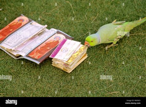 Indian Astrology Hi Res Stock Photography And Images Alamy