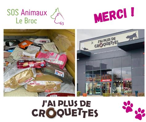 Sos Animaux Le Broc 63 Home