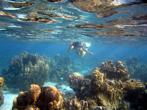 The Most Amazing Snorkeling Paradises In The World The Travel