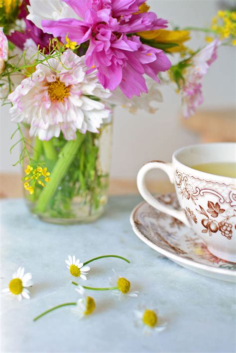How To Make Chamomile Tea With Fresh Flowers Simple Seasonal