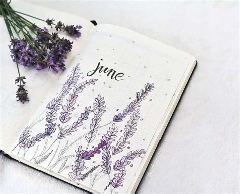 60 Beautiful Bullet Journal Cover Page Ideas For Every Month Of The