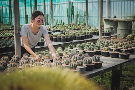 Premium Photo Woman Taking Cactus Care In Succulent Greenhouse