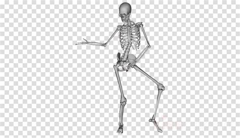 Download Dancing Skeleton Png Clipart Skeleton Dance Dancing Skeleton