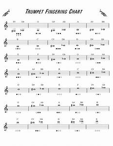 Concert B Flat Trumpet Scale Fingerings Chart