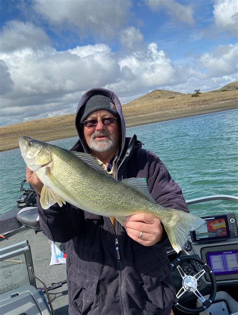 Spring Walleyes On Fort Peck Montana Hunting And Fishing Information