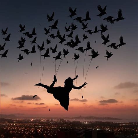 Flying With Birds At Sunset Manipulation Photography In 2020
