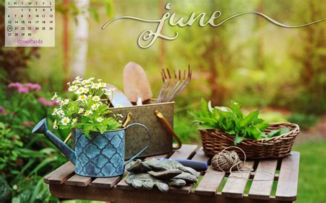 June Flowers Desktop Wallpaper
