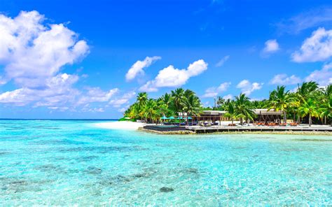 Download Wallpaper 3840x2400 Palms Ocean Beach Vacation Paradise 4k Ultra Hd 1610 Hd Background