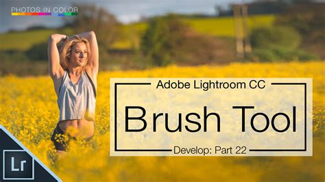 Lightroom 6 Tutorial How To Use The Lightroom Brush Tool Photoshop