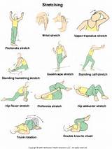 Exercises By Muscle Images