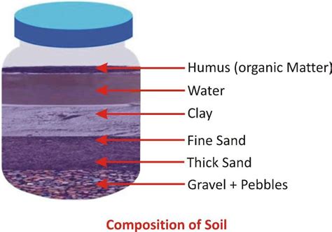 Ncert Class 7 Science Soil Chapter Notes