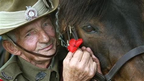 Anzac day is a massive national holiday in australia and new zealand, with a number of traditions observed annually. Remember Veterans Day | Anzac day, Anzac day australia, Anzac