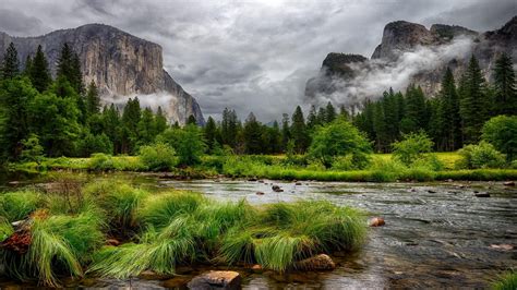 Nature Landscape River Mountains Pine Trees Hdr 1920x1080