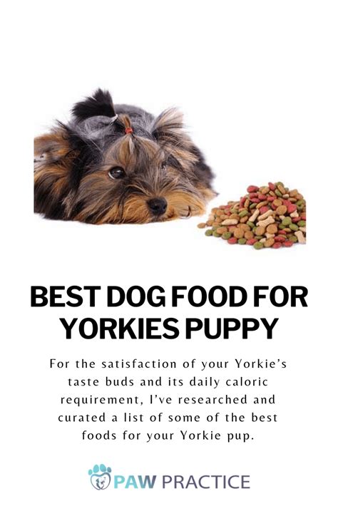 Keep reading to find out what is the best type of food for a yorkie. For the satisfaction of your Yorkie's taste buds and its ...