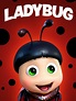The Ladybug (2018) - Rotten Tomatoes